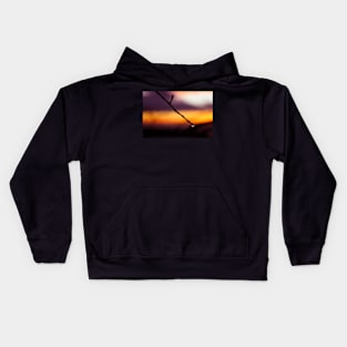 A drop of rain on a fall sunset background Kids Hoodie